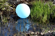 7th May 2013 - Balloon in a ditch IMG_4722