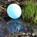 Balloon in a ditch IMG_4722 by annelis