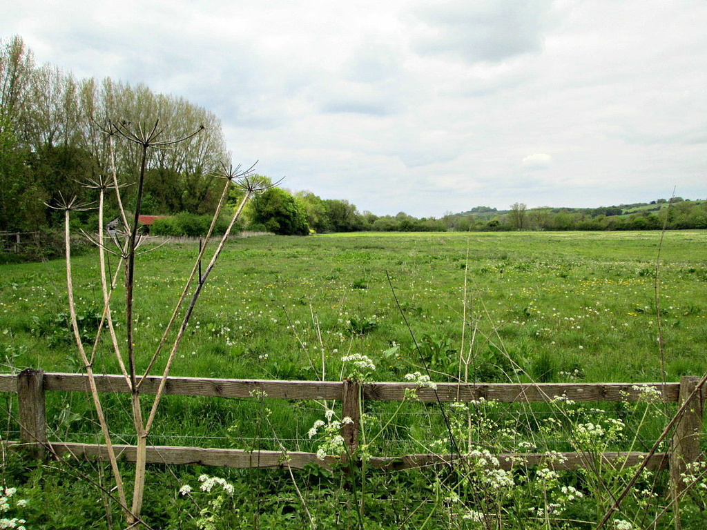 Hampshire countryside near Twyford by quietpurplehaze
