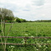 Hampshire countryside near Twyford by quietpurplehaze