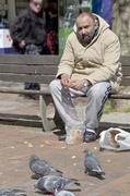 23rd May 2013 - Feeding The Pigeons.