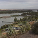 The Murray at Mannum  by sugarmuser