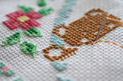 23rd May 2013 - Cross Stitch Project