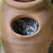 Cat planter by cjwhite