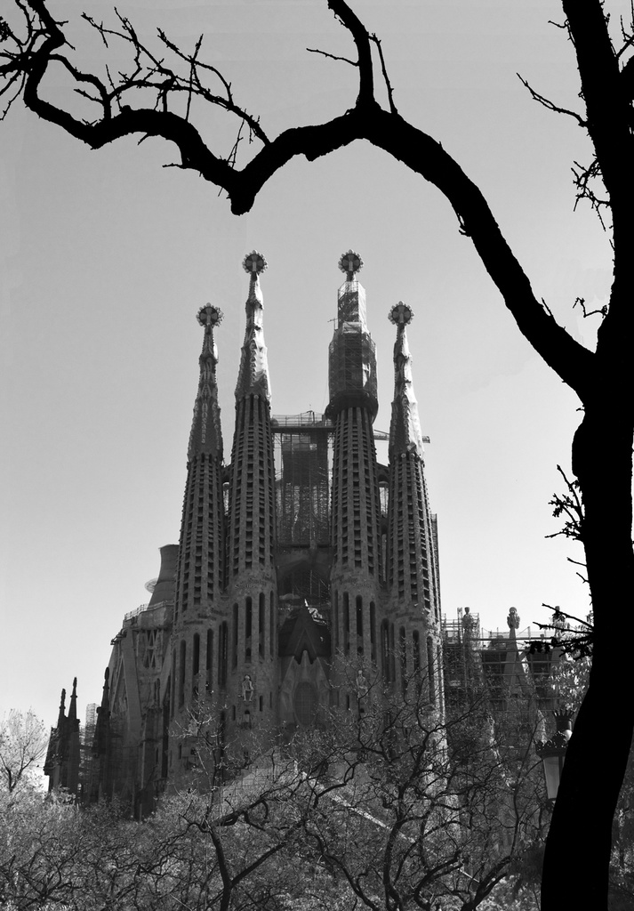 Sagrada Família,Barcelona, Spain by pdulis