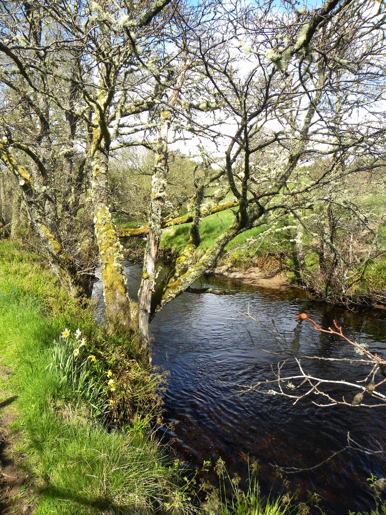 River Farnack by oldjosh