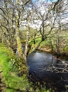 22nd May 2013 - River Farnack