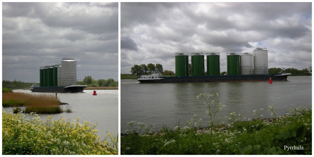 Transportation on the river  `` oude Maas`` Holland. by pyrrhula