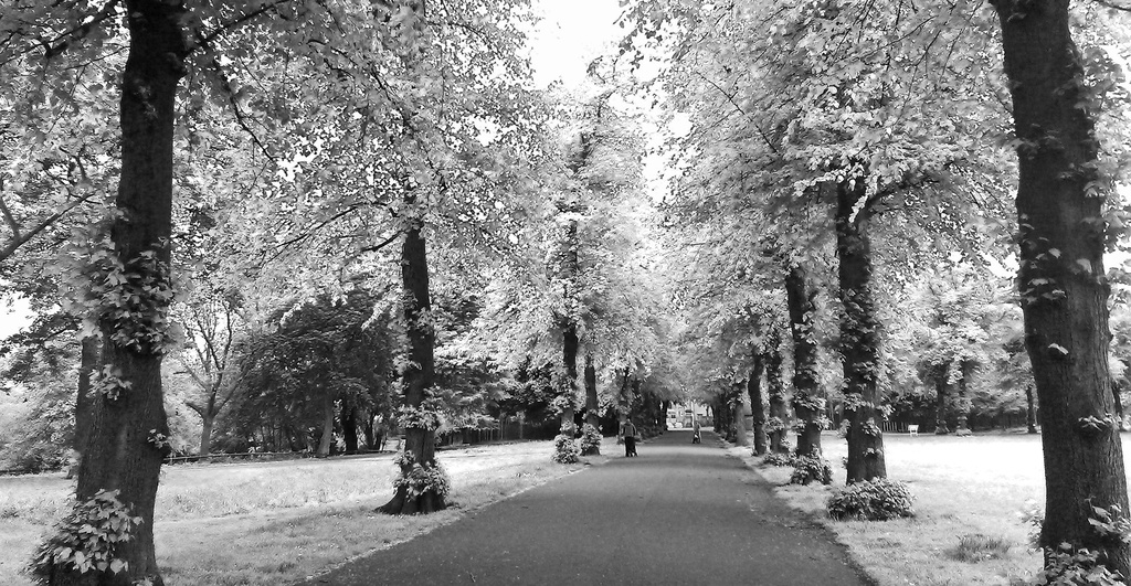 Vernon Park in Infra Red by phil_howcroft