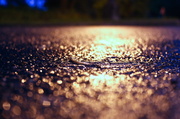 24th May 2013 - In the rain, the pavement shines like silver...