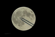 24th May 2013 - fly me to the moon