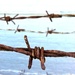 Barbed Wire by philr