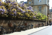 25th May 2013 - Sidney Sussex Street