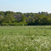Field by richardcreese