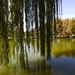 View from the weeping willow  by sugarmuser