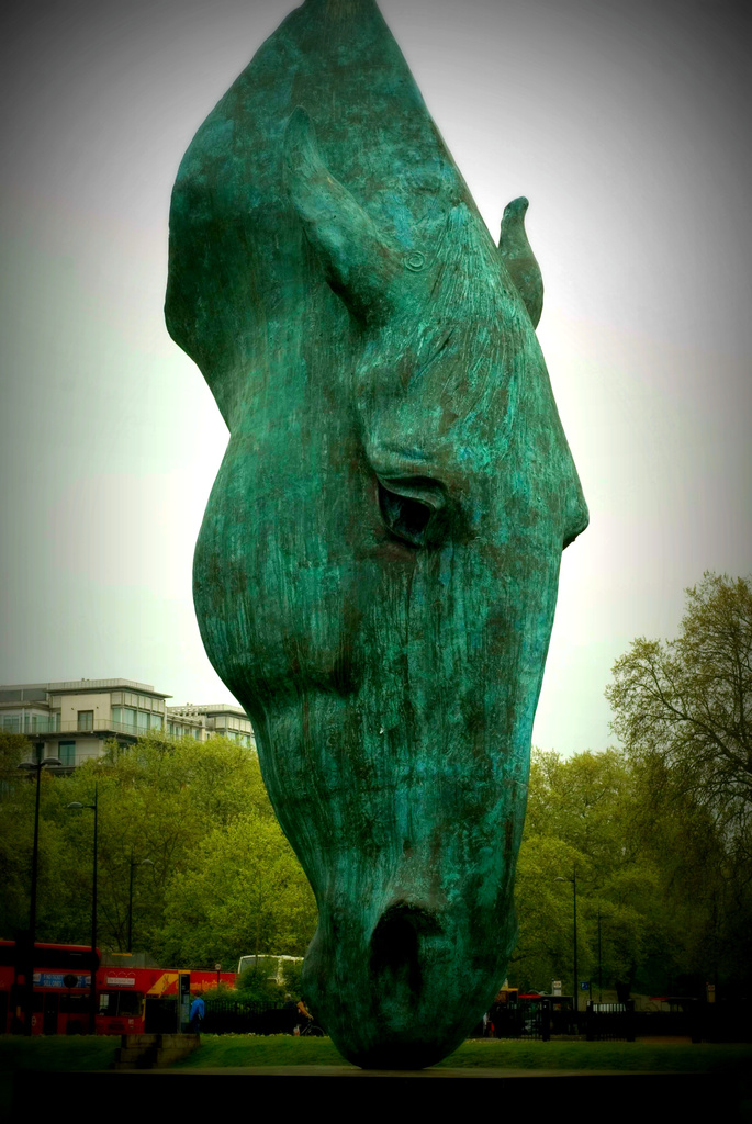 Horses Head by tracybeautychick