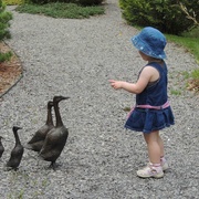 11th May 2013 - "Ok, Guys, Listen Up!"