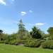 Knighton park by richardcreese