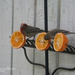 129_2013 Make shift bird feeder. by pennyrae