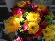 26th May 2013 - Cut flower arrangement in afternoon sunlight.