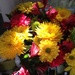 Cut flower arrangement in afternoon sunlight. by congaree