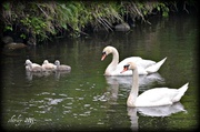 26th May 2013 - family day on the Blackstone River