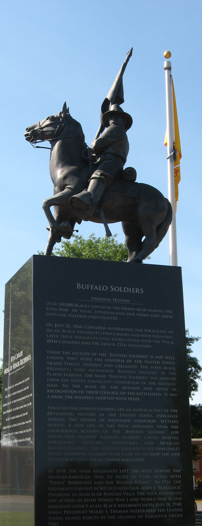 Buffalo Soldier by awalker