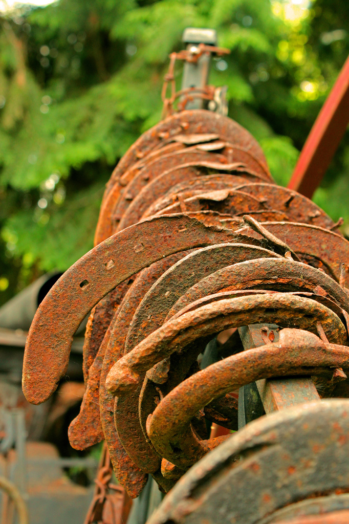 Rusty Horseshoes by nanderson