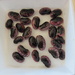Scarlet runner bean (Phaseolus coccineus) - Ruusupapu by annelis