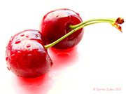 27th May 2013 - My Cherry Amour.