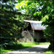 27th May 2013 - Derelict Barn in the Woods