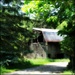 Derelict Barn in the Woods by juliedduncan