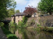 27th May 2013 - Lancaster Canal in the Sunshine