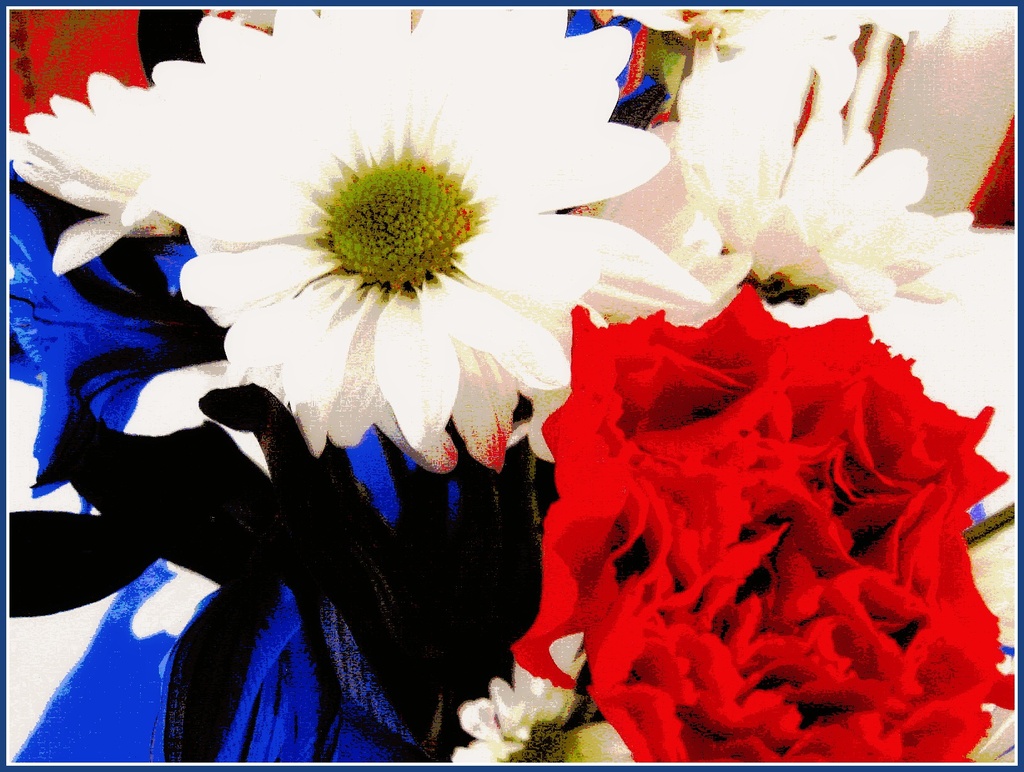 Memorial Day Flowers by olivetreeann