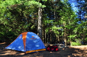25th May 2013 - Algonquin Solo Canoe Trip #2