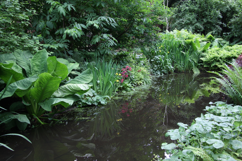 Peacefull water garden by kimmer50