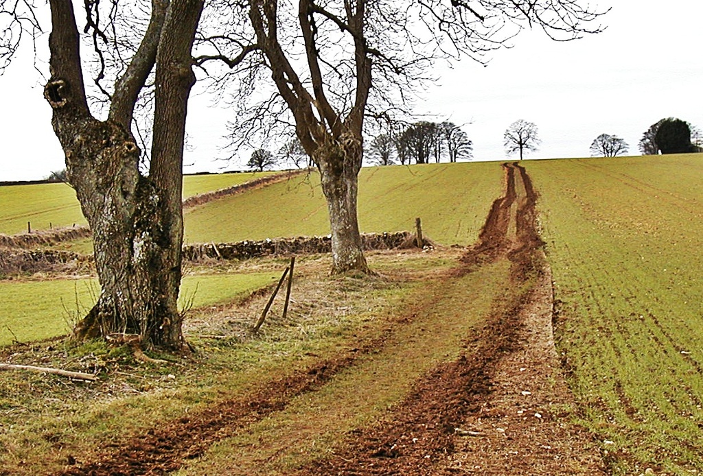 Muddy Route !!. by ladymagpie