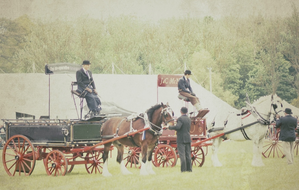 Ye olde horse & carts by jesperani