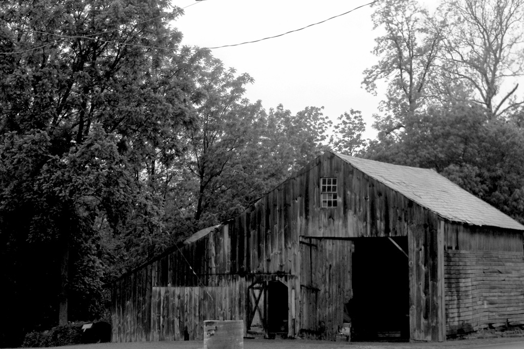 Old Shed by digitalrn