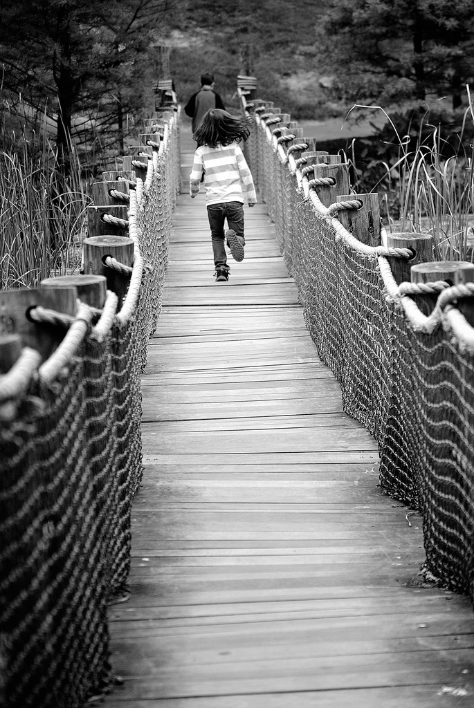 The Rope Bridge  by alophoto