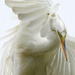 Egret by tosee