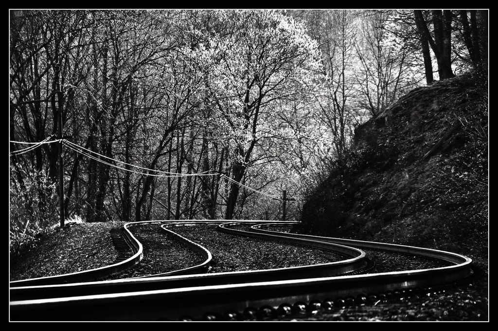 Lines and Tracks by sbolden