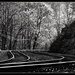 Lines and Tracks by sbolden