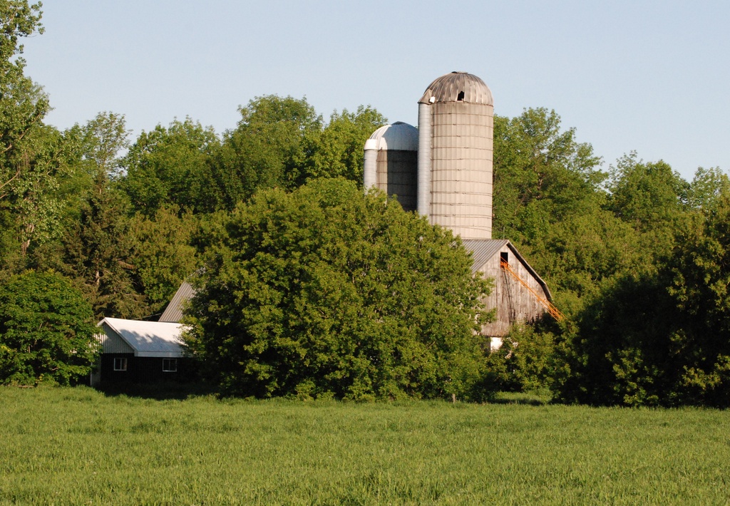 Another fine old Glengarry Barn by farmreporter