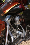 25th May 2013 - Harley's shine