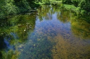 29th May 2013 - Clear Pond 