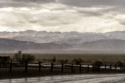7th May 2013 - It Never Rains In Death Valley