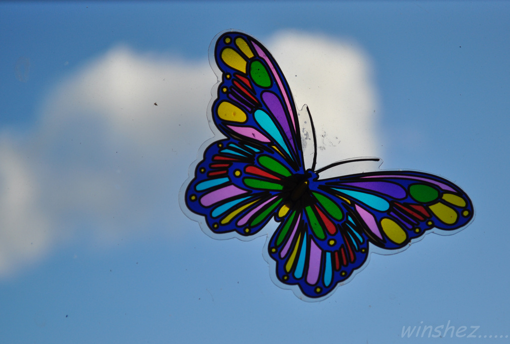 butterfly by winshez
