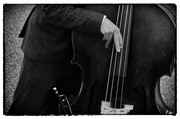30th May 2013 - Double Bass