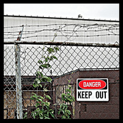 28th May 2013 - Dangerous . . . Fence?